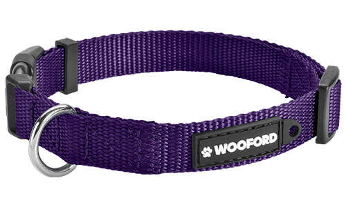 Purple adjustable dog collar, sturdy silver D-ring metal to attach a dog tag, comfortable and durable lightweight nylon.