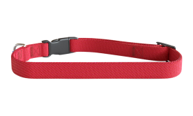 Embroidered Dog Collar Red embroided dog collar, 30-46cm in length and 1.5cm wide, lightweight nylon, customisable with dog's name and details.
