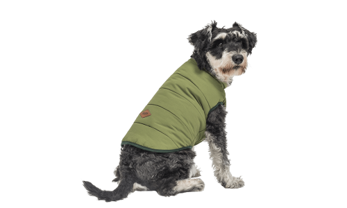 Green windproof dog winter vest, comfortable fit, designed for warmth and protection in cold weather.