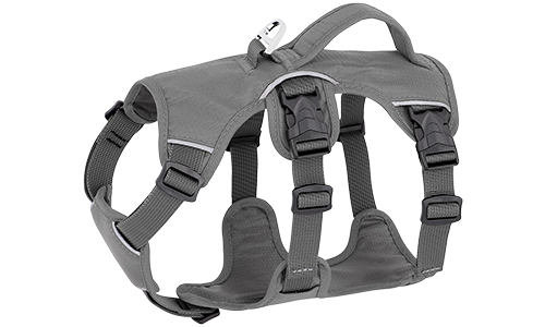 Grey waterproof dog harness with adjustable straps, suitable for different types of dogs, with sturdy silver ring.