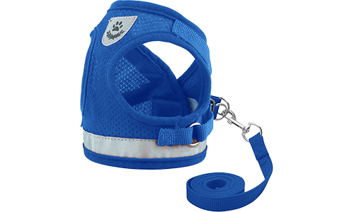 Blue reflective dog harness vest with matching leash, lightweight, with breathable mesh fabric for comfort fit.