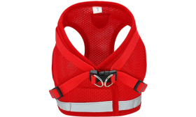 Red reflective dog harness vest with matching leash, lightweight, adjustable for comfortable and secure fit.