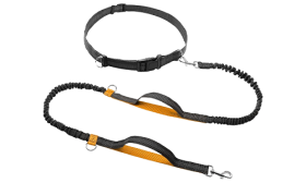 Orange hands free running retractable dog leash, 70 - 120 cm in length and 2.5cm width, adjustable belt, padded handles.