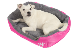 Soft dog bed with plush padding and raised sides for added comfort.