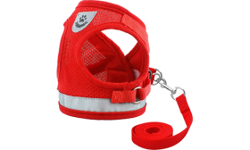 Red reflective cat harness vest with a matching leash, seamless and stylish, high-quality nylon, versatile and practical.