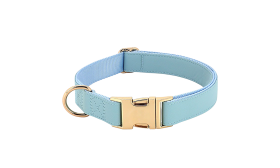 Dog Harness Kit with Collar and Leash Light blue dog harness kit with matching collar and leash, lightweight, with metal buckle, adjustable for comfortablee fit.