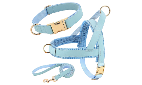 Matching collar leash and harness discount