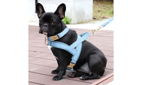 Dog Harness Kit with Collar and Leash Light blue dog harness kit with matching collar and leash, lightweight, durable and long-lasting, coordinated look.