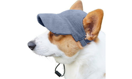 Corgi wearing a breathable blue ribbed dog sports hat, lightweight, to protect from the sun during summer outings.