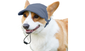 Breathable Dog Sports Hat for Summer Corgi wearing a breathable blue ribbed dog sports hat, fashionable, soft, lightweight canvas material for comfort.