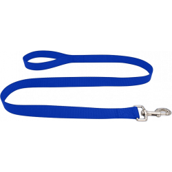 Durable blue nylon dog leash 120cm, easy to clean, durable material and safe with a secure silver clasp.