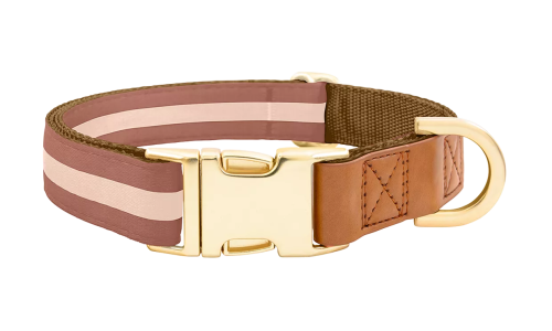 Brown dog collar with gold metal buckle for dog name engraving, 40-63cm in length and 2.5cm wide, with D-ring for attachment.