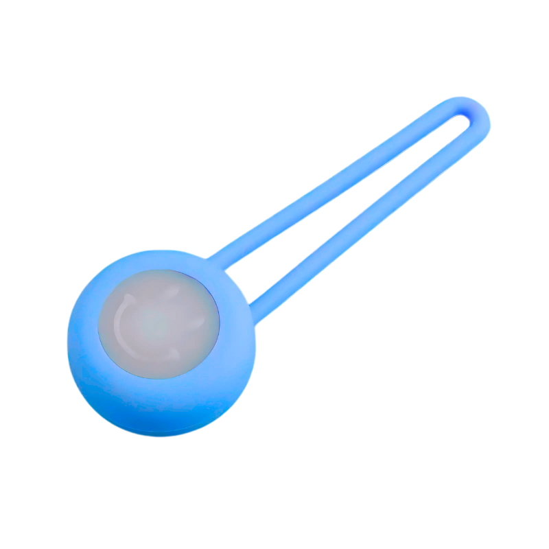 Detachable LED Dog Tag with Glowing Collar Light