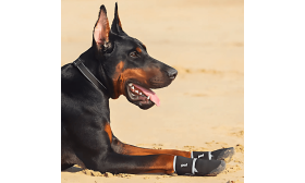 360° Reflective Safety Dog Shoes - Waterproof & Anti-Slip Paw Protection Dog Boot