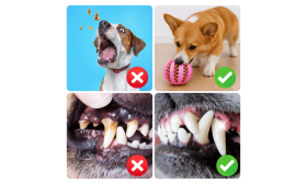 Interactive Dog Treat Dispenser Ball – Rubber Chew Dog Toy for Enrichment