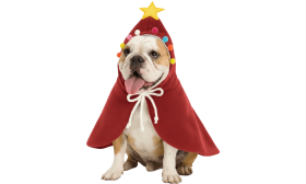 Dog Christmas Costume Cape – Festive Cloak Outfit for Pets