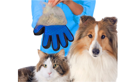 Person holding the blue grooming glove next to a dog and cat, showing the glove's use for pet grooming.