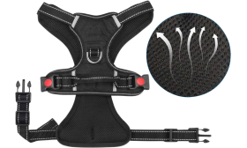 Back view of no pull dog harness with strong handle and secure buckles, small size, designed for control and easy handling.